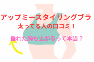 サンプル1：アップミースタイリングブラ太ってる人の口コミ！垂れた胸も上がるって本当？